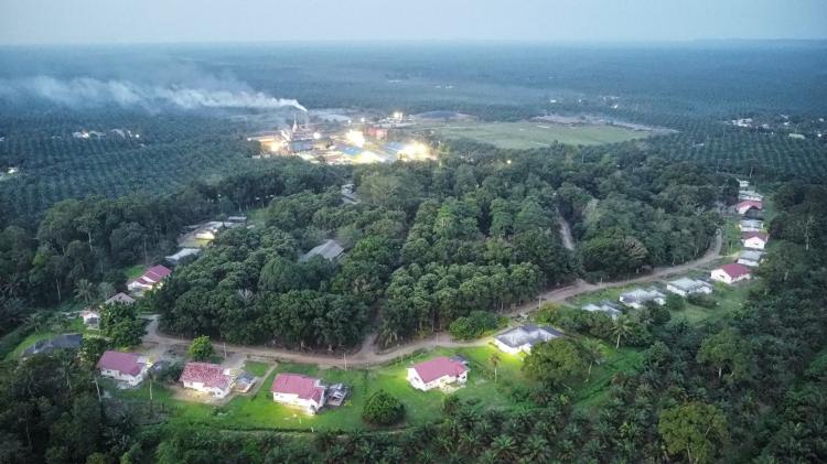 Komitmen Keberlanjutan, Kebun Terantam PTPN IV Regional III Catat Produksi Optimal