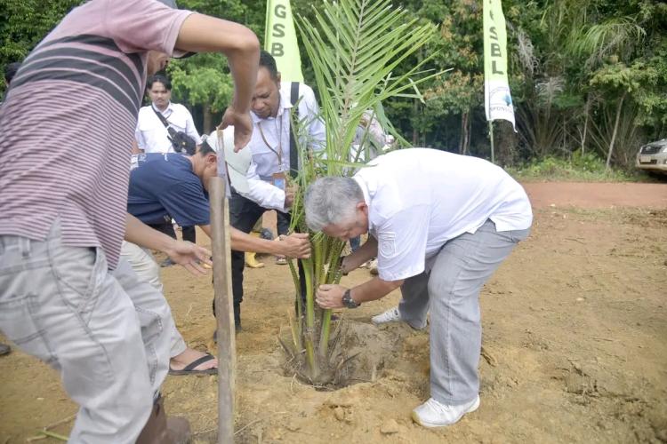 Tanam Perdana, PT GSBL Realisasikan Plasma Sawit di Ibul Lume