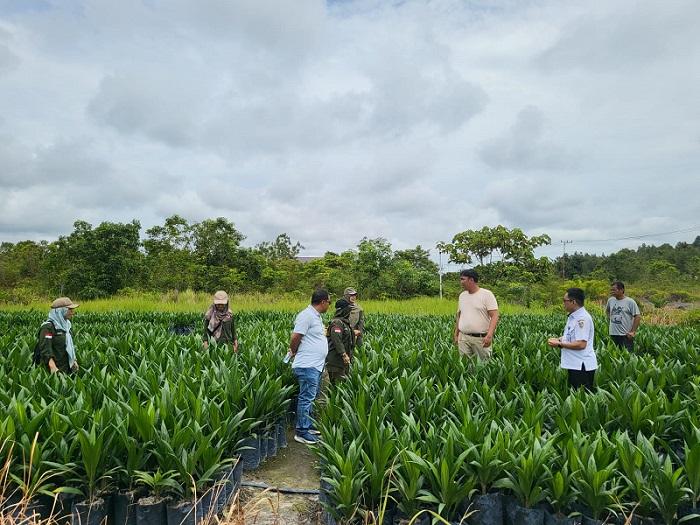 Pastikan Stok dan Kualitas, Produsen Bibit Sawit di Kalteng Terus Diawasi