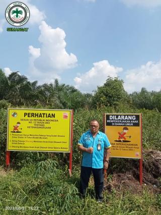Kewajiban Plasma Naik Jadi 30%, Petani Sawit: Sudah Saatnya Masyarakat Merasakan Manfaat