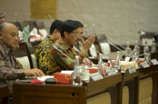 Realisasi Peremajaan Sawit Rakyat 2024 Jauh dari Target, Dirut BPDP: Sulit