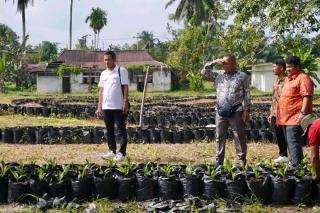 Kembangkan Sawit Rakyat, Ketapang akan Tiru Riau