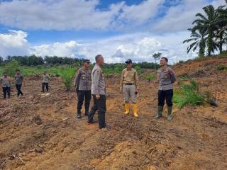 Petani Sawit di Kalbar Digandeng Kembangkan Budidaya Jagung Pola Tumpang Sari