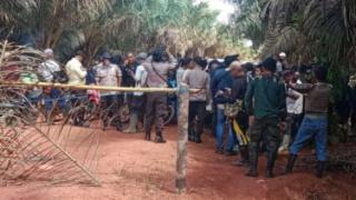 Caplok Lahan Kelompok Tani Sumber Rezeki, Kejagung Diminta Tindak Perusahaan Sawit