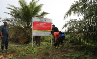 Konflik Lahan Eks TNGL, Masyarakat Duduki Kebun Sawit dan Pasang Plang