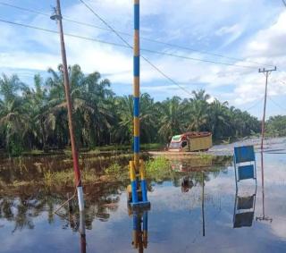 Intensitas Hujan Tinggi, Produksi Kebun Sawit di Aceh Utara Anjlok Sampai 35%