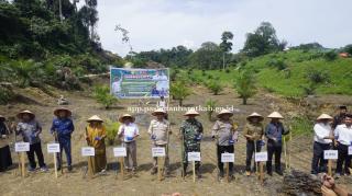 Dukung Tumpang Sari Padi Gogo di Lahan Sawit, Masyarakat Lubuk Manggis Siapkan 1.000 Ha