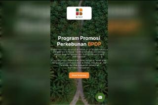 Mudahkan Mitra Akses Pendanaan Promosi Sawit, BPDP Luncurkan AKSI NYATA