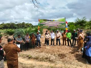 GAPKI dan Aspek-PIR Kalbar Kolaborasi Tanam Jagung Pola Tumpang Sari