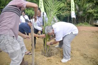 Tanam Perdana, PT GSBL Realisasikan Plasma Sawit di Ibul Lume