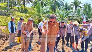 Perusahaan Sawit Siapkan 1.300 Hektare Lahan untuk Kembangkan Jagung di Buol