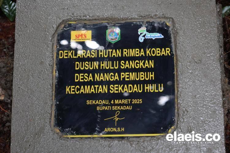 Kolaborasi Kaoem Telapak dan SPKS Sekadau Lahirkan Deklarasi Hutan Adat Rimba Kobar