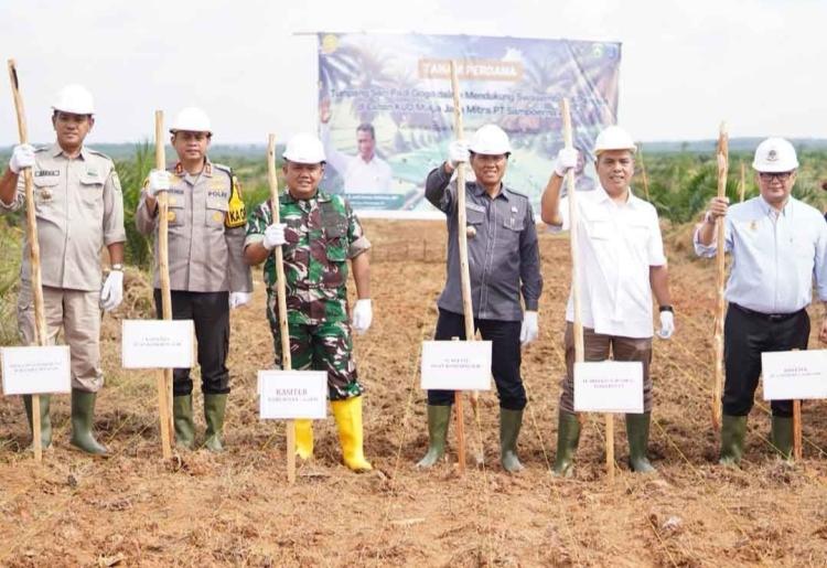 Punya Lahan PSR Terluas di Indonesia, OKI Genjot Tumpang Sari Padi Gogo