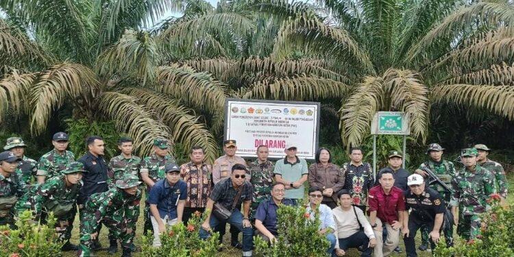 Ribuan Hektare Kebun Sawit PBS di Kalteng Disegel Satgas PKH