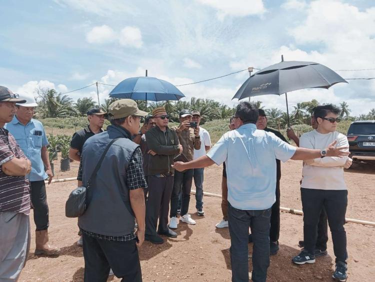 Kembangkan Sawit, Tojo Una-Una Tiru Pengalaman Kolaka