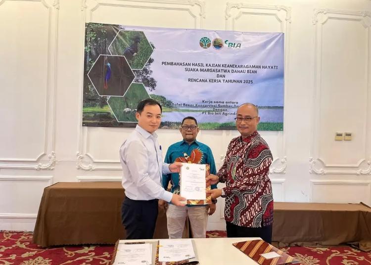 Konservasi SM Danau Bian, BBKSDA Papua Gandeng Perusahaan Sawit