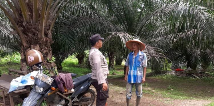 Pasca Luapan Sungai Batang Kumal, Petani Sawit Padangsidimpuan Diminta Waspada