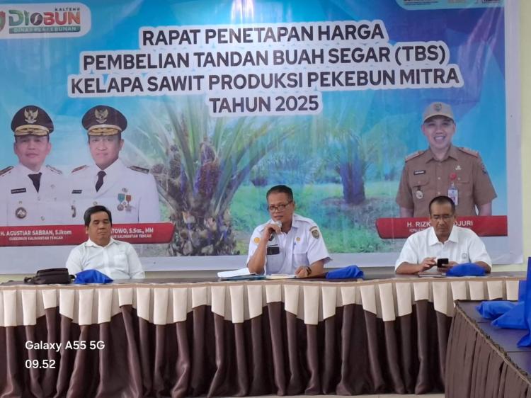 Harga Pembelian TBS Sawit Kalteng Periode I Maret 2025 Ditetapkan Rp 3.517,87/Kg