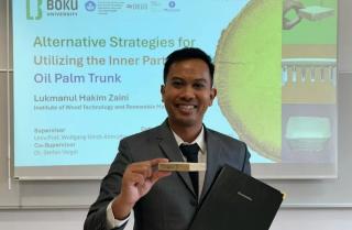 Dosen IPB Kembangkan Nanomaterial dari Batang Sawit, Berguna untuk Sektor Konstruksi