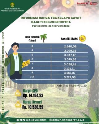 Mantap Lur! Harga TBS Kaltim Periode II Februari Naik Rp 45,51