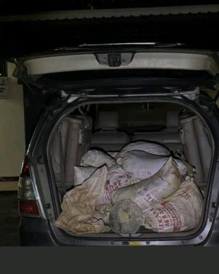 Seorang Penambang Emas Ilegal di Kebun Sawit PT WHS 2 Diringkus, 6 Lainnya Kabur