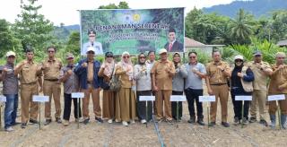 Sulbar Gelar Penanaman Padi Gogo Pola Tumpang Sari di Lahan Sawit