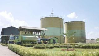 MKTR Bangun Pabrik EFB Pellet, Ubah Limbah Sawit Jadi Energi Hijau