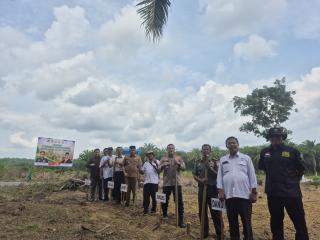 PT AA Rangkul Petani Sawit Rohil Genjot Produksi Jagung