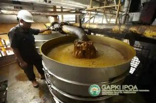 Produksi Turun, Konsumsi Naik, Pasar Minyak Sawit Indonesia Menyusut