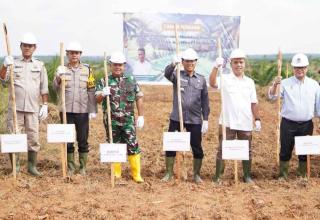 Punya Lahan PSR Terluas di Indonesia, OKI Genjot Tumpang Sari Padi Gogo