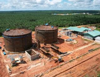 Manfaatkan Limbah Sawit, PLTBg Pertama Dibangun di Papua Selatan