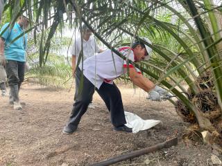 Pemkab Bengkulu Utara Terbitkan SE Harga TBS Jelang Lebaran, Aspek-PIR Acungi Jempol