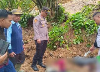 Kebun Sawit di Rambah Samo Longsor, Pasutri Penjaga Tewas Tertimbun