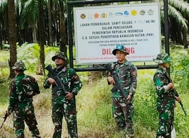 Penertiban Sawit di Kawasan Hutan, Pakar: Perpres Tidak Mengatur Soal Penyitaan
