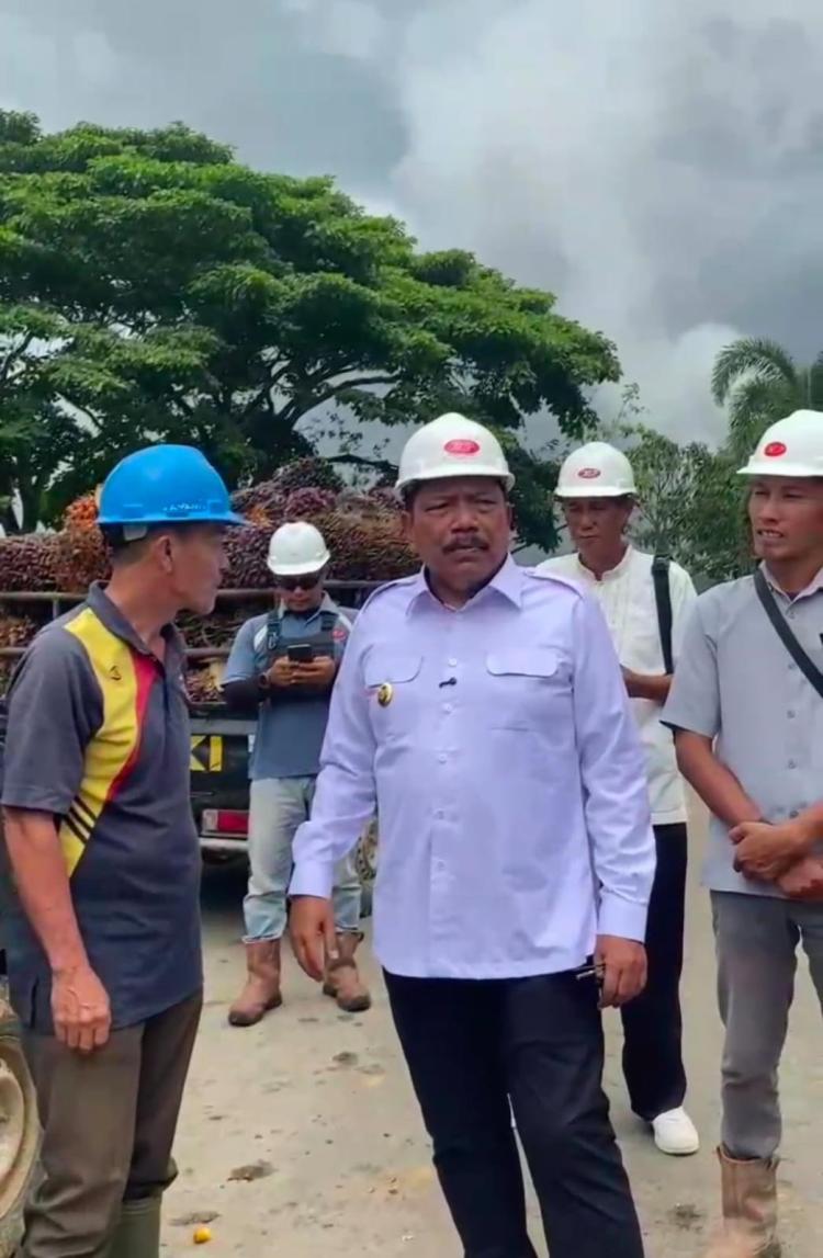 Harga TBS di Bengkulu Turun, Wagub Mian Sidak Pabrik Sawit