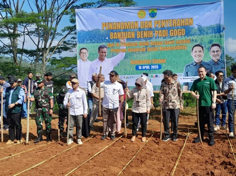 14 Produsen Benih Sawit Bantu Pengembangan Padi Gogo di Cianjur