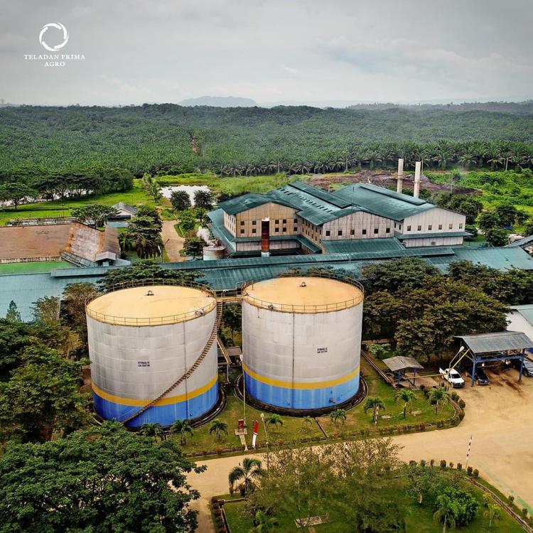 TLDN Siap Gelontorkan Rp 210 Miliar Akuisisi REA Kaltim Plantations