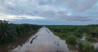 Lebaran, Kebun Sawit di Kukar Terendam Banjir