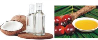 Industri AS Butuh Minyak Nabati Indonesia, Kenaikan Tarif Tidak Kurangi Volume Impor