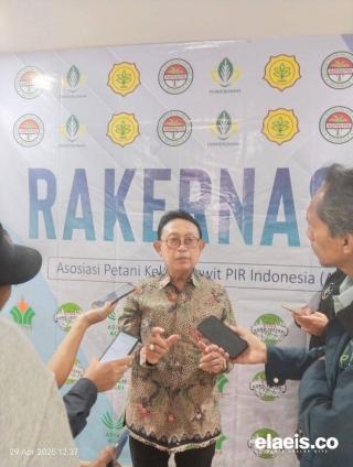 Masih Ada Anggota GAPKI Enggan Melakukan Replanting