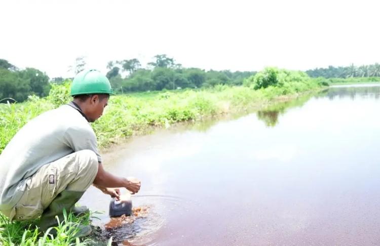 Sungai Tercemar Limbah Pabrik Sawit, DLH Sulbar: Sudah Diberi Sanksi 