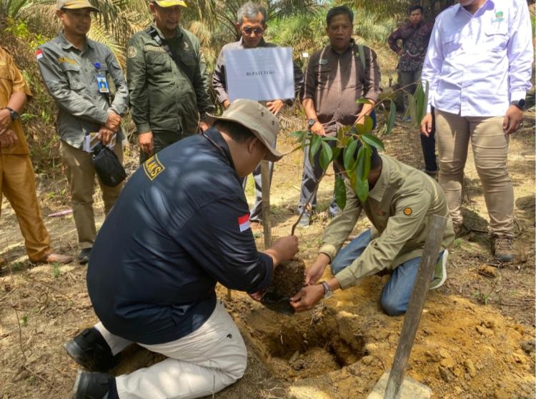 Jangka Benah Diterapkan di Kabupaten Tebo, Solusi Keterlanjuran Sawit di Kawasan Hutan