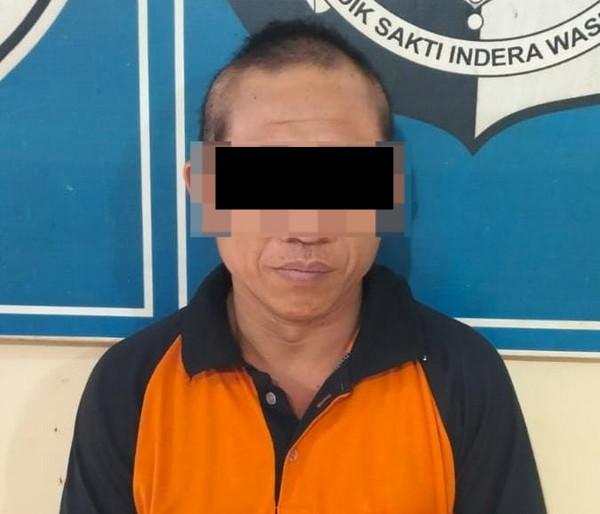 Kesal Ditegur, Pencuri Sawit Bacok Pemilik Kebun