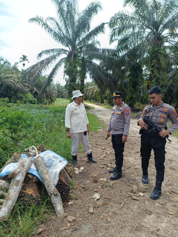 Dua Tim Patroli Diturunkan Cegah Kriminalitas di Sekitar Perusahaan Sawit