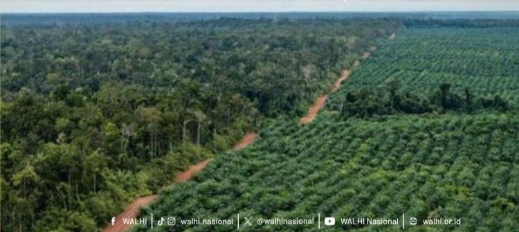 Bupati Kapuas Hulu Diminta Dengar Aspirasi Masyarakat Tamambaloh Terkait PT IAL