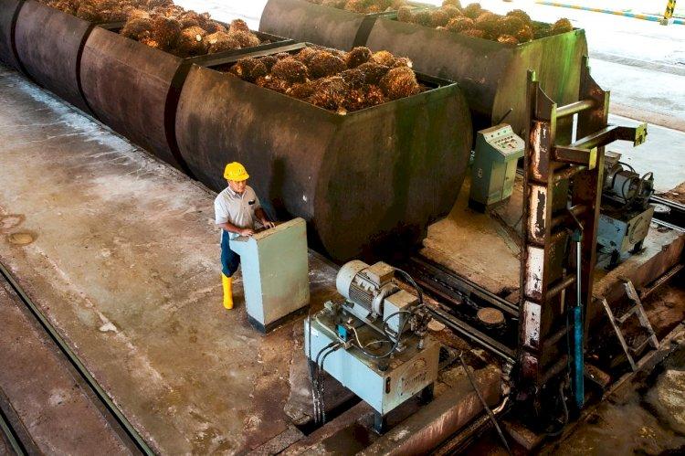 CPO Kian Tertekan, Harga Referensi Juni 2025 Turun ke USD 856,38/MT