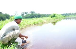 Sungai Tercemar Limbah Pabrik Sawit, DLH Sulbar: Sudah Diberi Sanksi