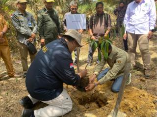 Jangka Benah Diterapkan di Kabupaten Tebo, Solusi Keterlanjuran Sawit di Kawasan Hutan