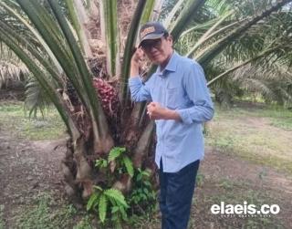 Beasiswa Sawit 2025 Dibuka, Pemda Diharapkan Proaktif