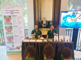 Dorong Produktivitas, Enam Varietas Unggul Sawit dan Kakao Resmi Dilepas